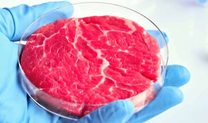 Daging Sintetis Di Kenal Dengan Daging Laboratorium Buatan