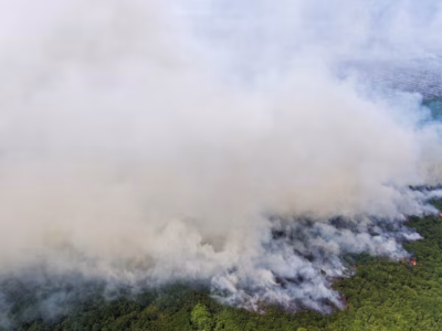 Kebakaran Hutan Mengancam Kualitas Udara