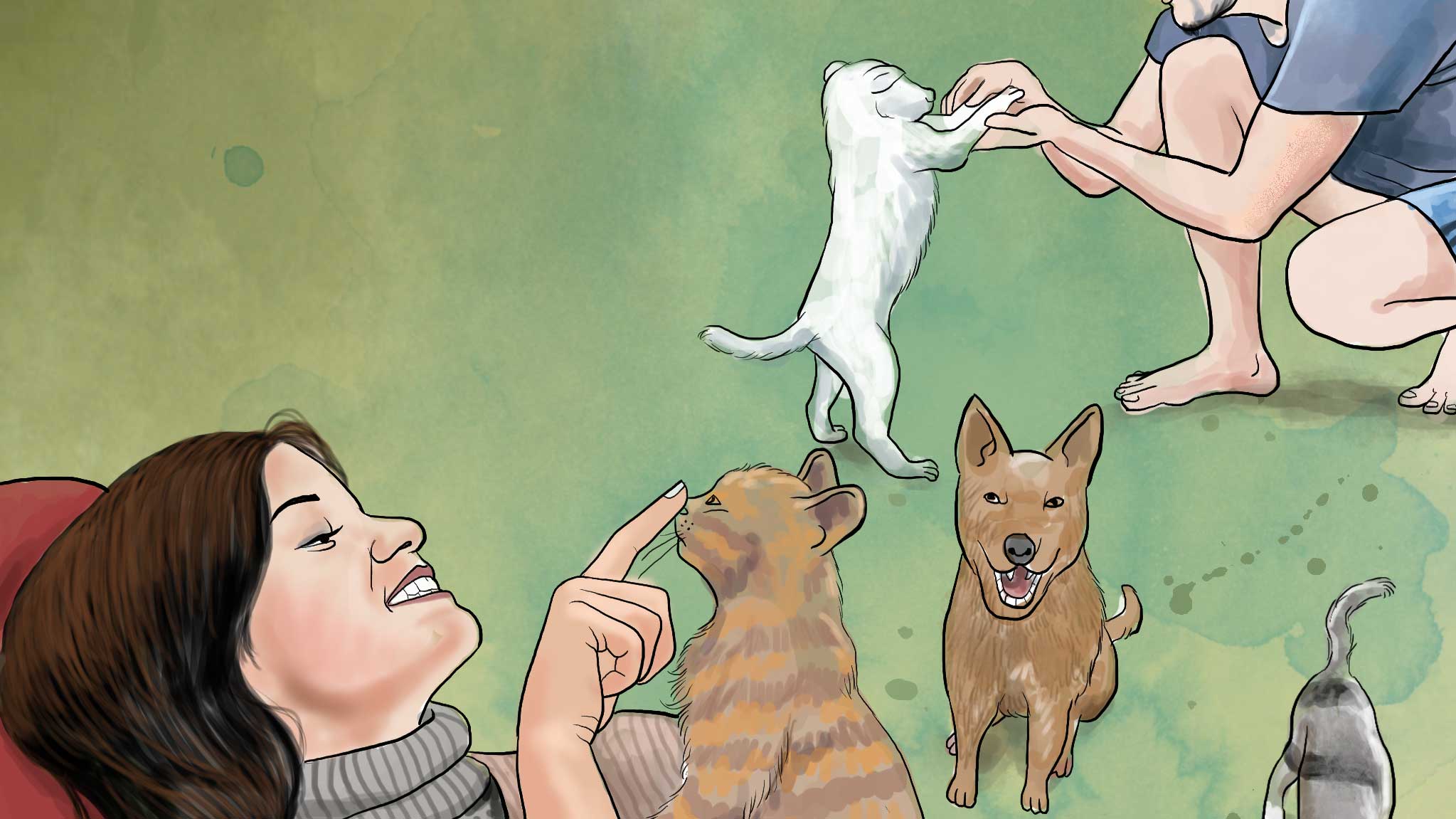 Pet Humanization: Hewan Diperlakukan Seperti Keluarga