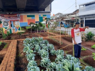 Urban Gardening: Berkebun Di Lahan Sempit Perkotaan
