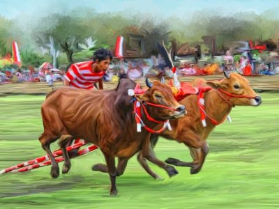 Karapan Sapi Madura: Antara Adrenalin Dan Tradisi Leluhur