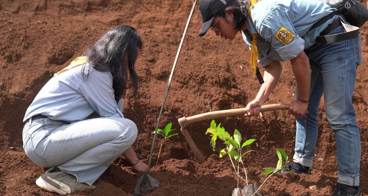 Pertamina Tanam 1.300 Saninten Demi Mitigasi Bencana