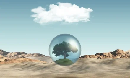 ISO Makin Ketat: Perusahaan Wajib Melek Isu Iklim!