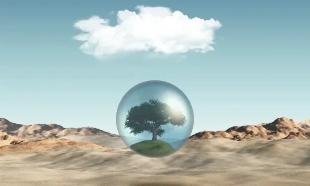 ISO Makin Ketat: Perusahaan Wajib Melek Isu Iklim!