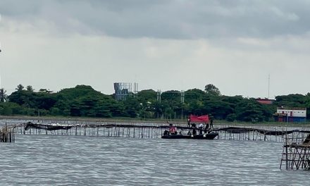 Jaga Karang RI, KLH Pantau Kapal Pesiar