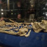 Misteri Fosil Arktik: Apakah Ini Kakek Moyang Kita?