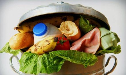 Trik Hemat: Ubah Sisa Makanan Jadi Cuan & Kurangi Polusi