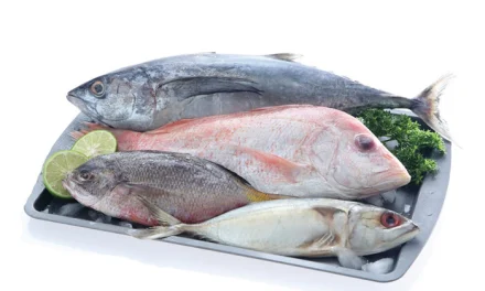 Ramah Kantong! 4 Ikan Murah Ini Ternyata Punya Gizi Tinggi