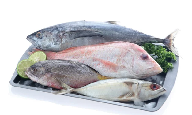 Ramah Kantong! 4 Ikan Murah Ini Ternyata Punya Gizi Tinggi