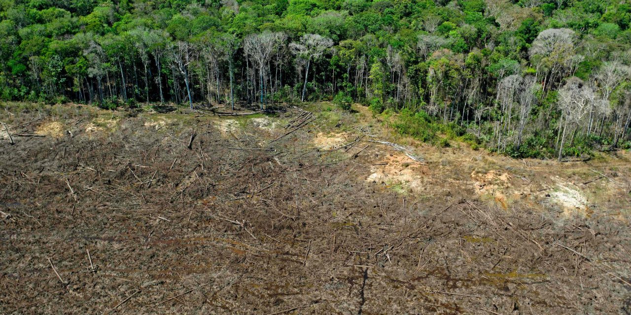 Deforestasi Paksa Amazon Terancam Kering Keroncong!