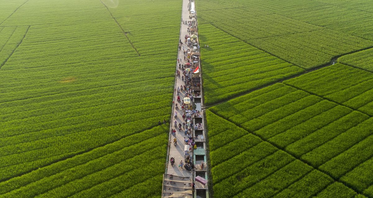 Jangan Sepelekan! Ini Efek Alih Fungsi Lahan Bagi Kesehatan
