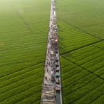 Jangan Sepelekan! Ini Efek Alih Fungsi Lahan Bagi Kesehatan