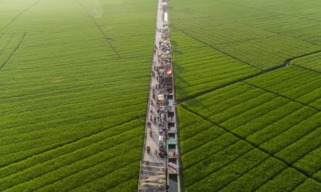 Jangan Sepelekan! Ini Efek Alih Fungsi Lahan Bagi Kesehatan