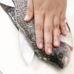 Trik Mudah Hilangkan Bau Lumpur Di Ikan Gurame