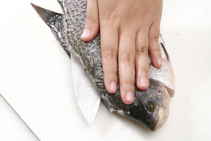 Trik Mudah Hilangkan Bau Lumpur Di Ikan Gurame